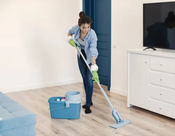 Femme de ménage Trégarantec